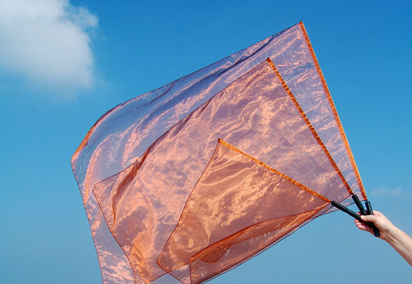 Zwart Garen Organza