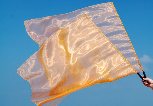 Aanbiddingsvlag Oranje