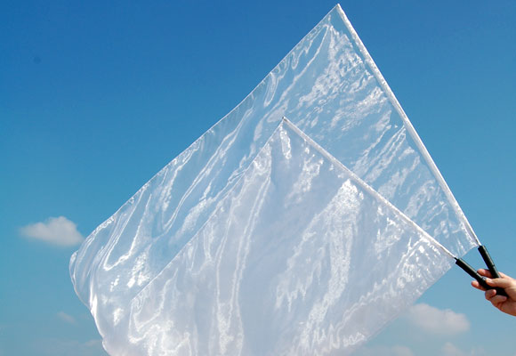 Eén Tint Organza